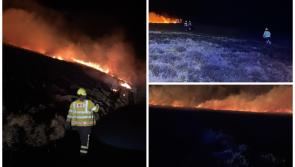 Firefighters contain fires after Carlow forestry plantations set alight