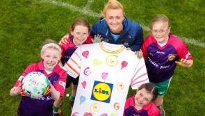 Carlow entries sought for LGFA 50th Anniversary Jersey Design Competition