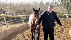 WATCH: Carlow trainer Shark Hanlon and Hewick arrive in France ahead of French Champion Hurdle