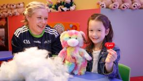 Carlow GAA fans: Make your own furry friend at the GAA Museum's Teidí Tours