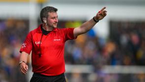 Munster referee appointed for Joe McDonagh Cup Final between Carlow and Offaly