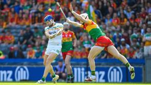 Carlow crowned Joe McDonagh Cup champions!