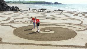 Carlow groups sign up for local clean-ups around World Ocean Day