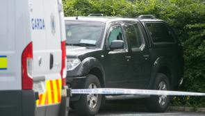 Second man pleads guilty over early-morning shooting of gangland criminal