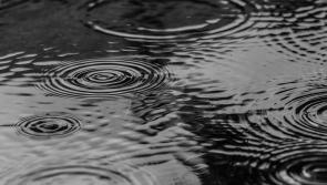 Status yellow thunderstorm warning issued for Carlow