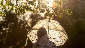 CARLOW WEATHER: Brollys up! Scattered outbreaks of rain expected today (June 30)