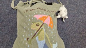 GALLERY: Gardaí publish pictures of belongings lost at summer concerts