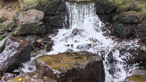 Carlow County Council called upon to investigate the water and sewerage issues in Bagenalstown