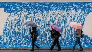 Calling Carlow Artists: Carlow County Council to fund mural at Potato Market Carlow