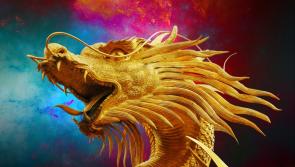 WHAT'S ON: Fire up your weekend by finding dragons in Carlow with herpetologist