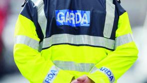Man arrested following attempted robbery of a business with knife and axe