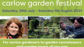 WHAT'S ON: Carlow Garden Festival commences this week with a free event