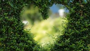 BBC Presenter Nick Bailey lands in Carlow to talk all things gardening