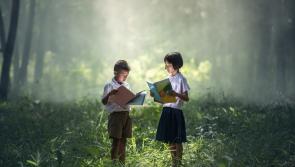 Carlow local Mary Crowe launches new children's book set in St. Mullins