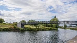 WHAT'S ON: Free Wildflower Walk and Talk Along the Barrow as part of National Heritage Week