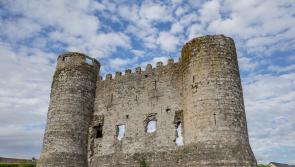 WHAT'S ON: Carlow Castle significance in the development of Carlow town