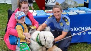 In Pictures: The very best snaps from the family fun day at Tullow Agricultural Show 2023