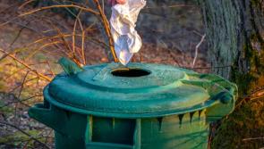 Almost fifty warning letters issued by Carlow County Council under the Waste Management Act