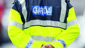Ploughing traffic delays after man seriously injured in Laois crash 