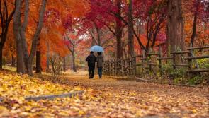 What's On: Free weekly event 'Walk and Talk' for parents of children with additional needs