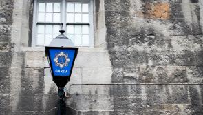 Gardaí issue update on investigation into death of woman in violent incident in Offaly