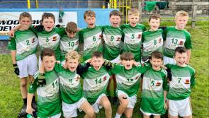 In Pictures: Clubs across Carlow take part in the 25th Annual Garda Festival in Tullow