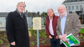 'This is something that every city and town can do', Minister Malcolm Noonan visits Carlow