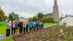 In Pictures: Minister for Heritage visits four local biodiversity projects in Carlow
