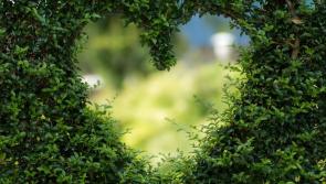 Singleton from Carlow is hoping to find 'Love in the Country' on new RTÉ dating show