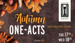 Carlow Little Theatre host their annual One-Act season in town with award-winning plays