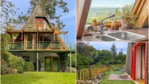 IN PICTURES: Unique four-bed €435k 'treehouse' hits the market on Carlow border 
