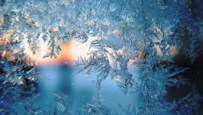 Carlow Weather: Temperatures to drop as low as 0C overnight with frost possible
