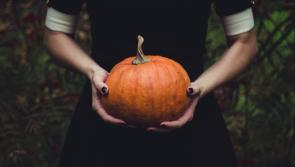 What's On: Family-friendly weekend at Samhain Festival 2023 in VISUAL Carlow