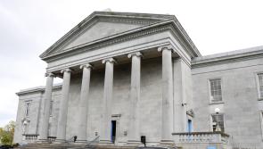 All-Star Clare hurler ‘whacked’ boy, 12, on leg with a stick and kept hitting him, court hears