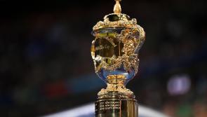 POLL: As an Irish fan, who would you rather win the Rugby World Cup - New Zealand or South Africa?