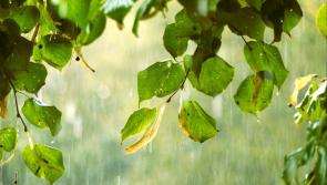 Carlow Weather: Hail and thunder possible due to some heavy and prolonged showers