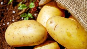 Bag of Rooster potatoes amongst items stolen from house across Carlow border