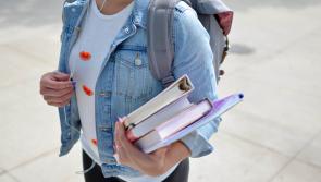 Thousands of Irish students owed €1,000 from Government just before Christmas