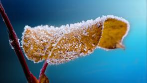 Carlow Weather: Very cold with lows of -3C, widespread frost and icy conditions