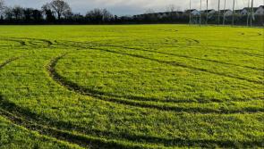 Disappointment for Carlow sports club as playing pitches are targeted 