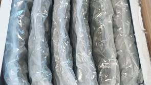 Over €650k of cannabis seized by gardaí, woman arrested