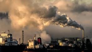 COP28 - Everything you need to know about the 'historical' agreement