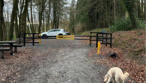 New addition to popular hiking trail in Carlow improves safety of visitors