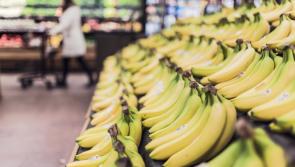 Supermarket opening hours across Carlow for Christmas and New Years