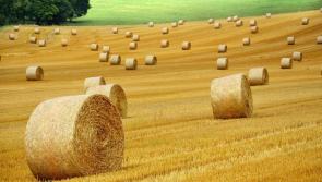 Thirty-three farmers in Carlow benefit from grant aid under the organic farming scheme