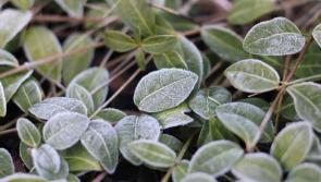 Expect to see some frost and ice with lowest temperatures of -1 degrees