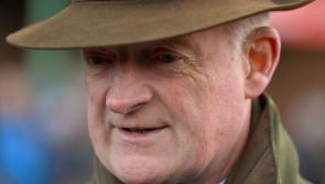 Free entry to see rescheduled race with Carlow champion trainer Willie Mullins