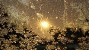 Carlow Weather: Cold and frosty at night with areas of dense fog in places