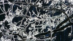 Carlow Weather: Temperatures plummet as low as -3 degrees with frost and fog
