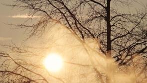 Carlow Weather: Very cold but will remain mostly dry with some crisp winter sunshine 